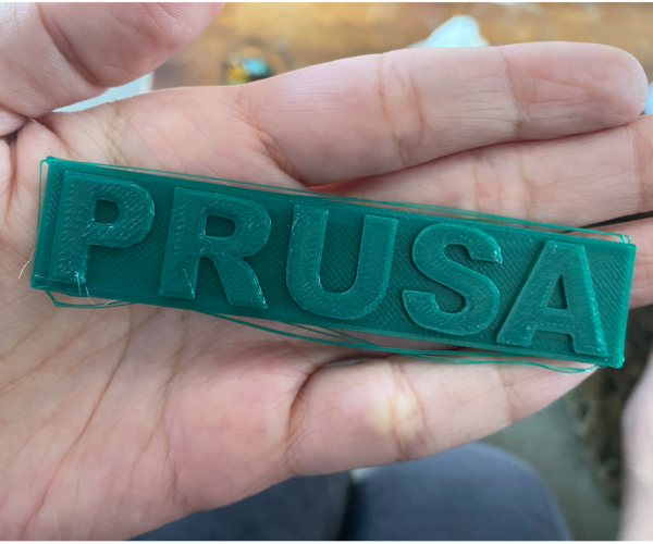 front of prusa logo 3d print in green