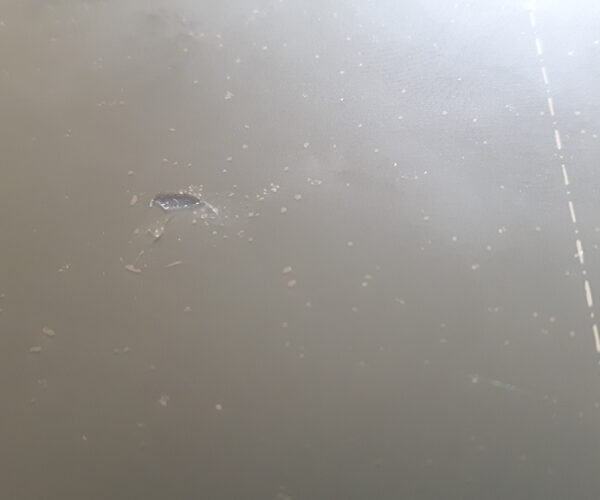 Coating came off the sheet. Leaving what looks like a hole. Angled view.